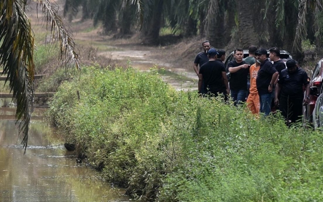 努法拉陈尸油棕园案/ 验尸结果等实验室报告 警派警犬到场搜手机 