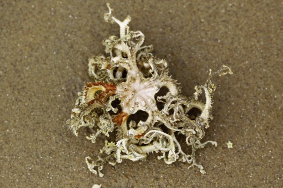 Fkwyq240721 01 Fz100253412976