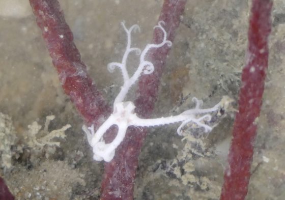 Fkwyq240721 02 Fz100253412977