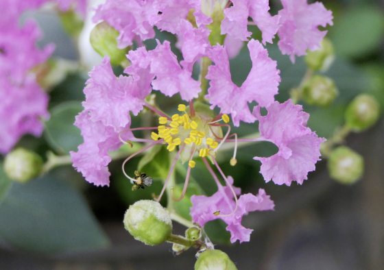 Fkwyq240707 03 Fz100252532706