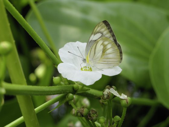 Fkwyq240707 05 Fz100252532708