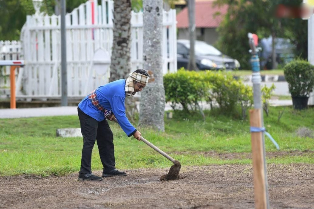 (大北马)官邸前辟地种山稻,沙努西以行动鼓励人民自力更生