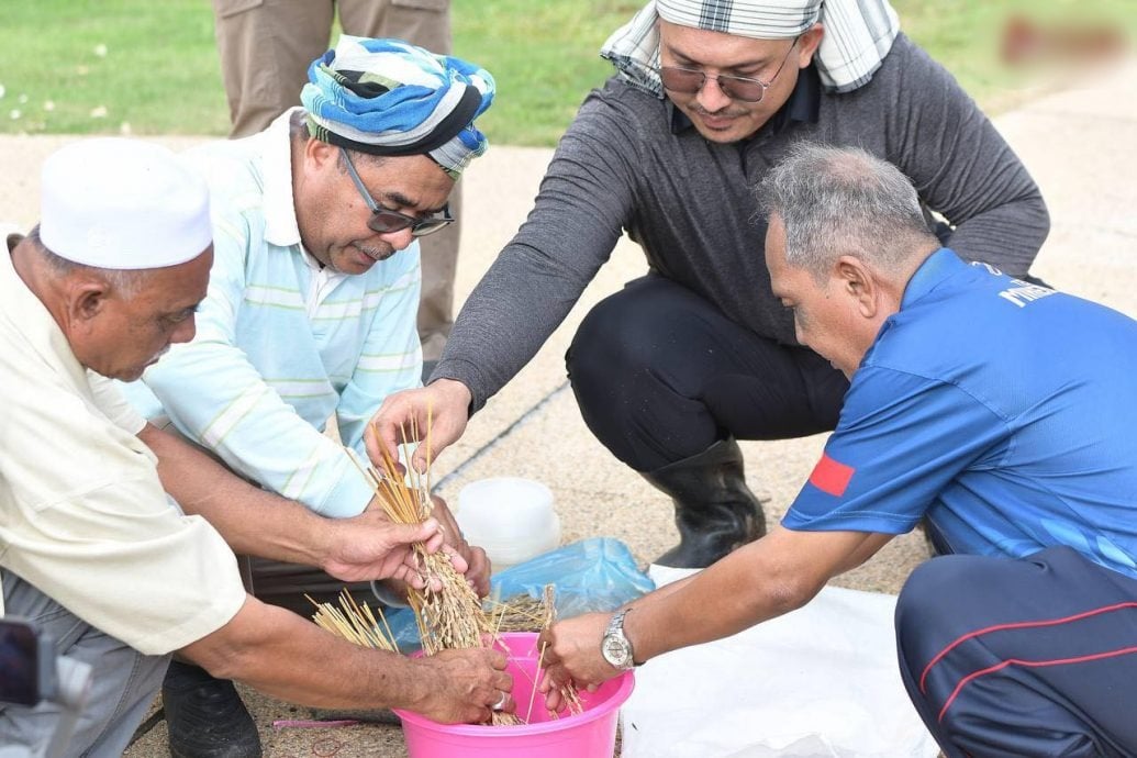 (大北马)官邸前辟地种山稻,沙努西以行动鼓励人民自力更生