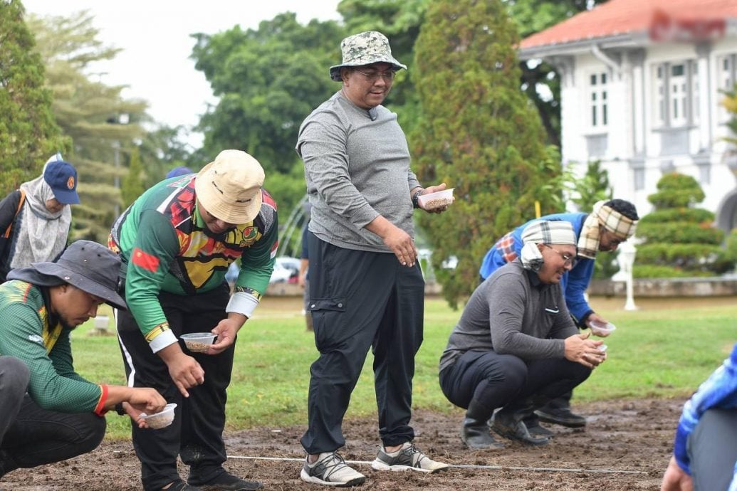 (大北马)官邸前辟地种山稻,沙努西以行动鼓励人民自力更生