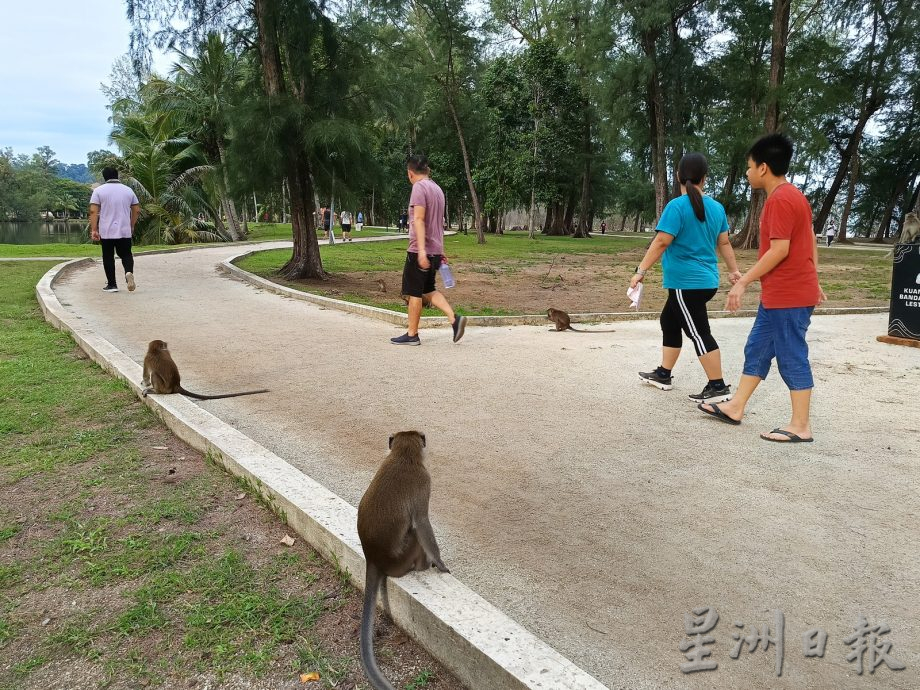 星角摄:休闲公园的午后