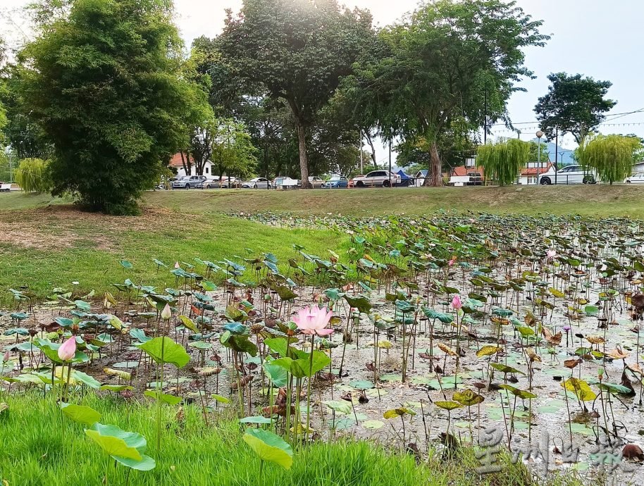 星角摄:休闲公园的午后