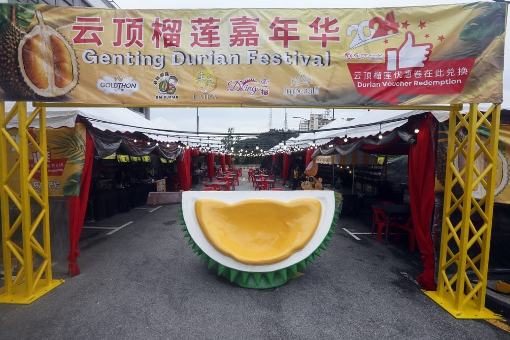 大都会6//云顶榴梿节