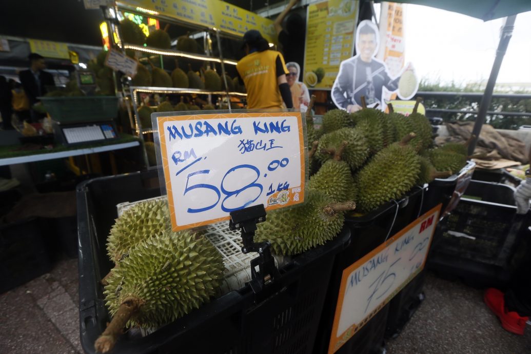 大都会6//云顶榴梿节