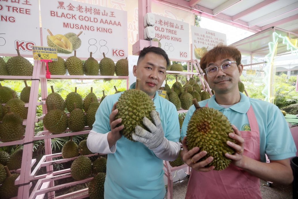 大都会6//云顶榴梿节