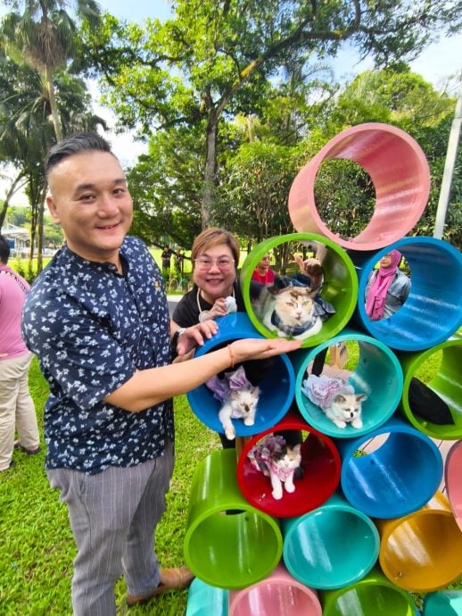 大都会/封面主文/全马首座“户外休闲猫咪公园”正式开放启用！