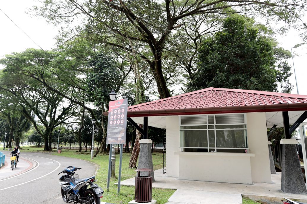 大都会封面/赖俊权巡视大都会公园/12图
