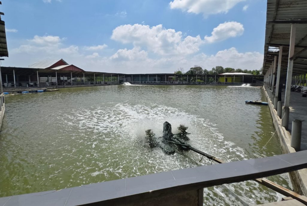 大都会/(ME03版头)钓鱼场涉非法接驳水管,偷水11万令吉