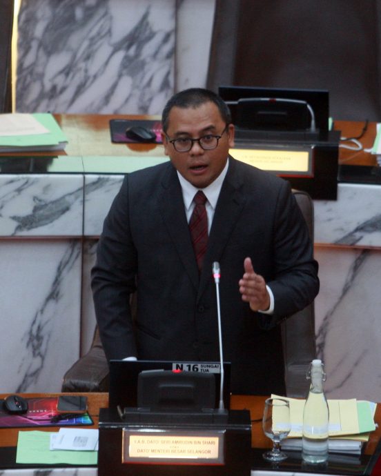 大都会/雪州议会