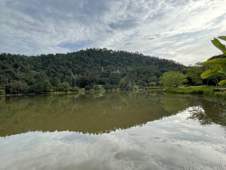 大都会/ME03头/FRIM能否入世界遗产明年中揭晓/5图