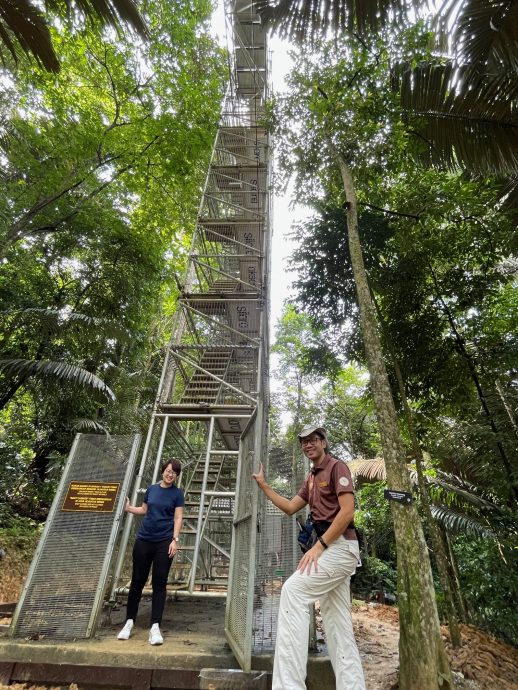 大都会/ME03头/FRIM能否入世界遗产明年中揭晓/5图