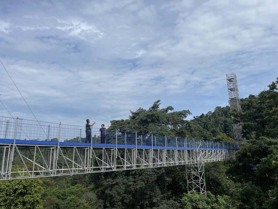 大都会/ME03头/FRIM能否入世界遗产明年中揭晓/5图