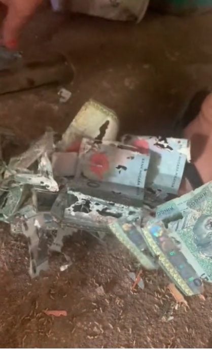 妇女铁罐装钞票被白蚁啃光 “白蚁竟专咬50、20和10令吉！”