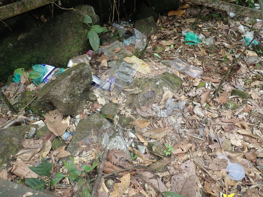 嬉水者须警惕 太平波密斯瀑布区爆发鼠尿病 