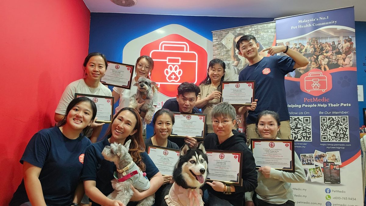 封面主文(大北马)宠物急救和心肺复苏术课程