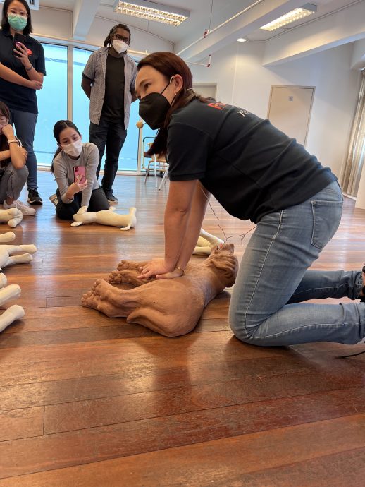 封面主文(大北马)宠物急救和心肺复苏术课程