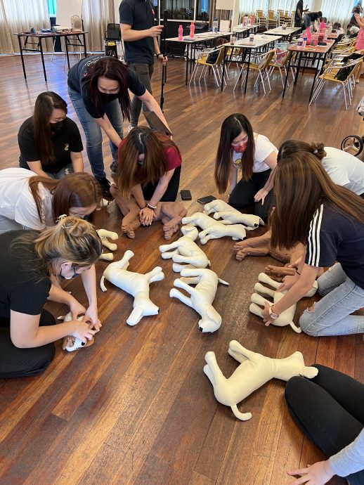 封面主文(大北马)宠物急救和心肺复苏术课程