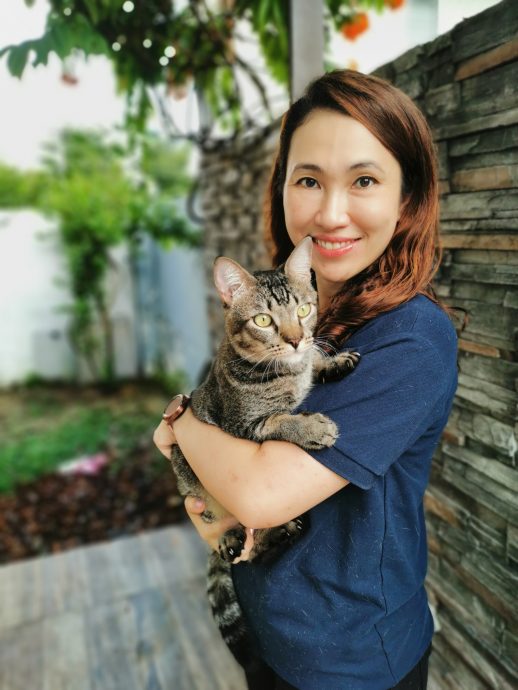 封面主文(大北马)宠物急救和心肺复苏术课程