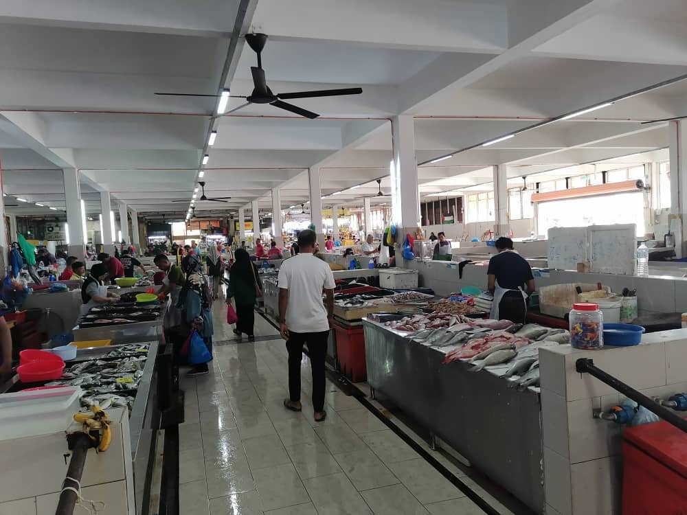 已审题//东封面:渔民:5受保护物种鲨鱼品种已少见,渔船误捕必放生。