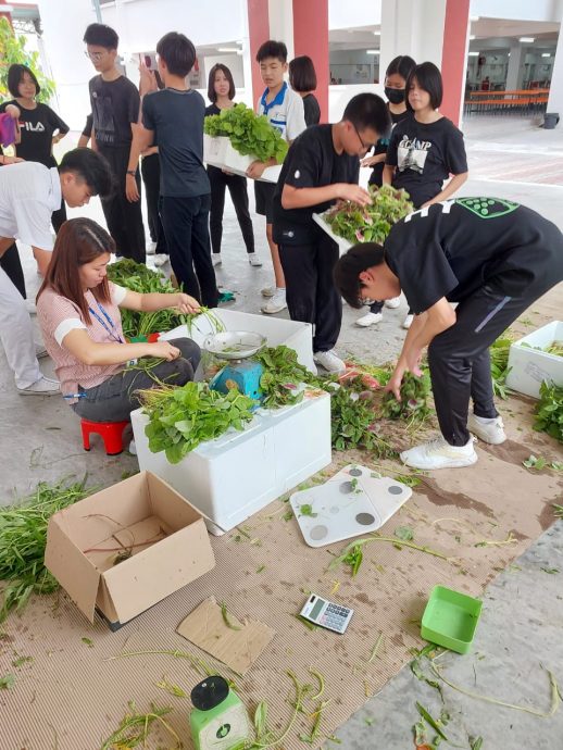 *已签发* 柔:“快乐农耕:全国中学绿色校园运动”宽中至达城分校师生体验农民“一条龙”过程