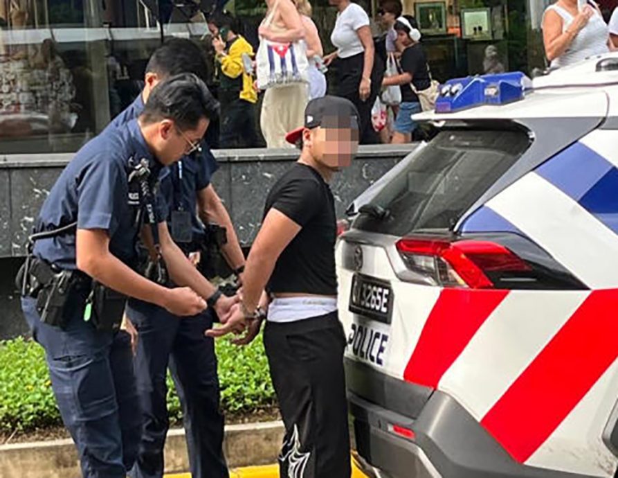 *已签发* 柔:狮城二三事:爬顶楼停车场围墙 3玩命青年被捕