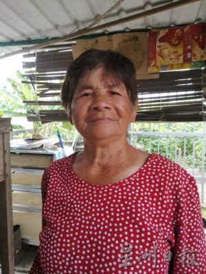 *已签发* 版头之一 柔:銮2地区野象出没行径遭网民拍下 居民受促多加小心