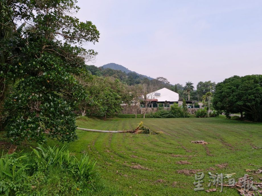 *已签发* 版头之一 柔:銮2地区野象出没行径遭网民拍下 居民受促多加小心