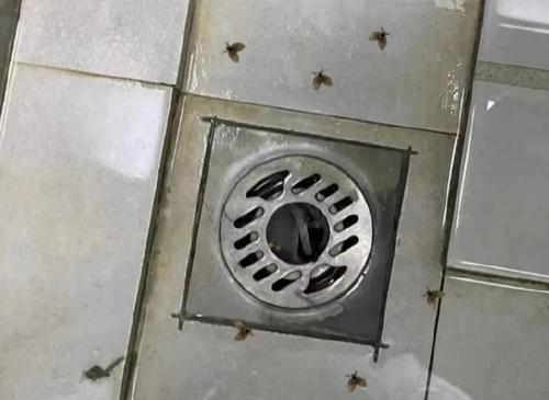 拚图两图,未签)深圳男随手拍死小飞虫 下场竟是摘除左眼球