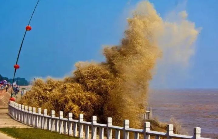 拼盘∕ 钱塘江惊现罕见的“蝴蝶潮” 空中俯瞰如蝴蝶翩翩起舞