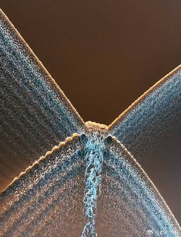 拼盘∕ 钱塘江惊现罕见的“蝴蝶潮” 空中俯瞰如蝴蝶翩翩起舞