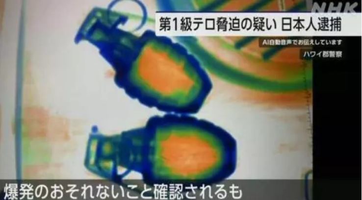 日男图带2手榴弹上机遭逮 夏威夷岛机场吓到紧急疏散乘客