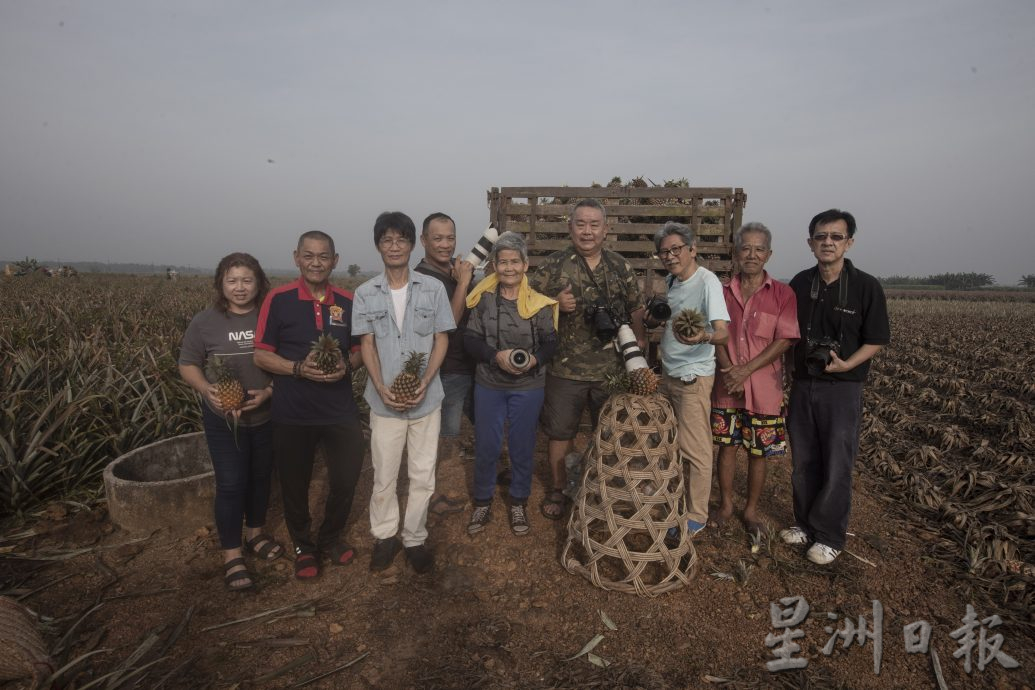 最后一名采黄梨华妇