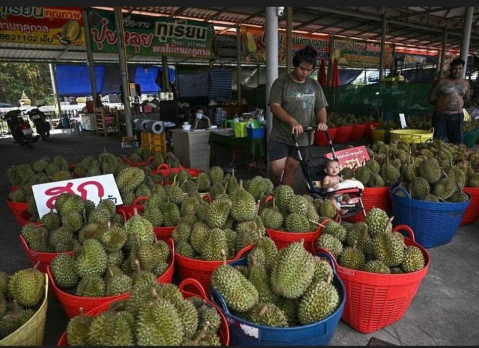 气候变化冲击 泰国榴梿产量大幅下降