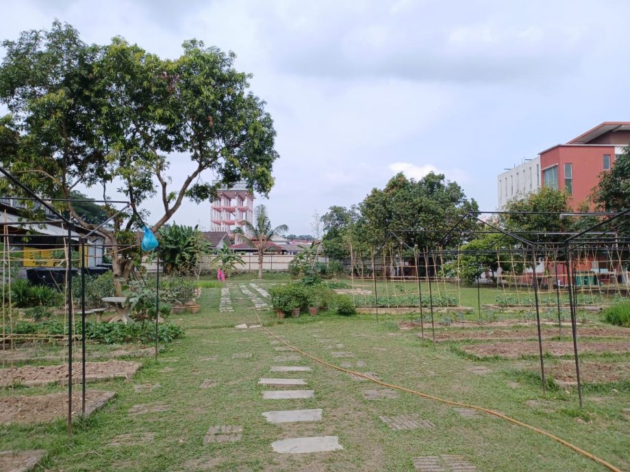 版2头//大都会/张睷洋,重新研究育华中学前面和周遭的排水系统,建议在草场做积水池