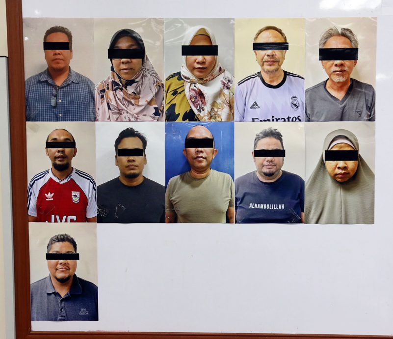 甘榜鸡也能做投资?“慈善团体”推甘榜鸡投资骗329万 警捕11人助查