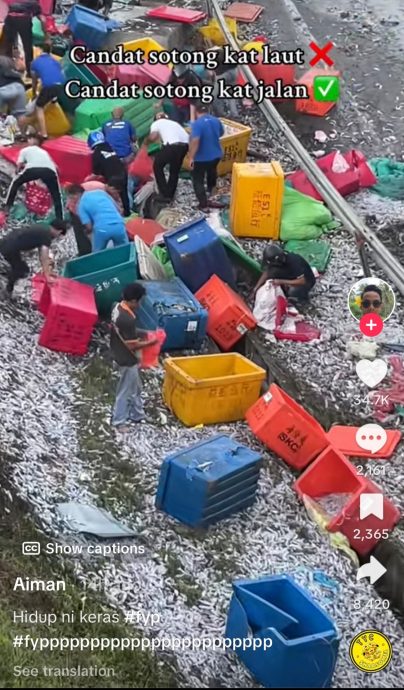 罗里翻覆乌贼掉满地 民众大道旁“捡乌贼”