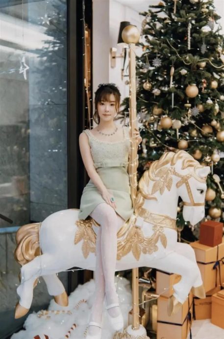 蔡天凤案第3次提讯日未能完成交付程序 案押后至9月底再提讯