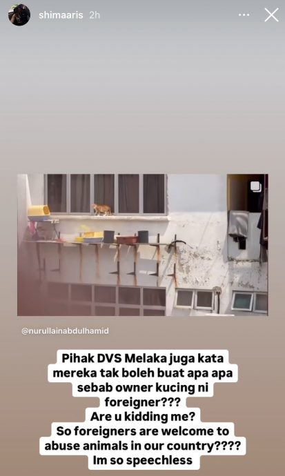 视频|放任猫咪高楼窗外曝晒 网轰饲主“残忍无良”！