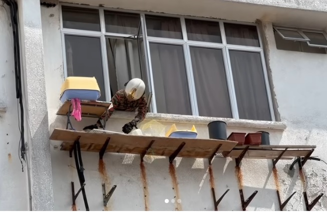 视频|放任猫咪高楼窗外曝晒 网轰饲主“残忍无良”！