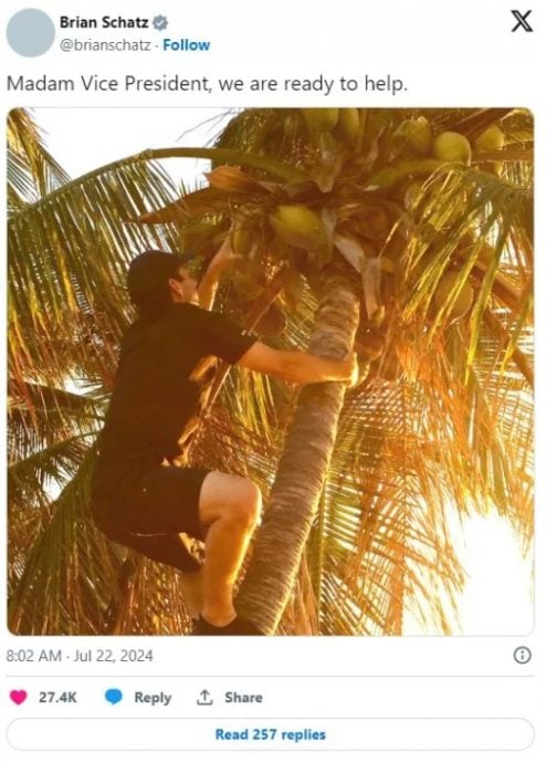 贺锦丽“椰子树”梗走红网络