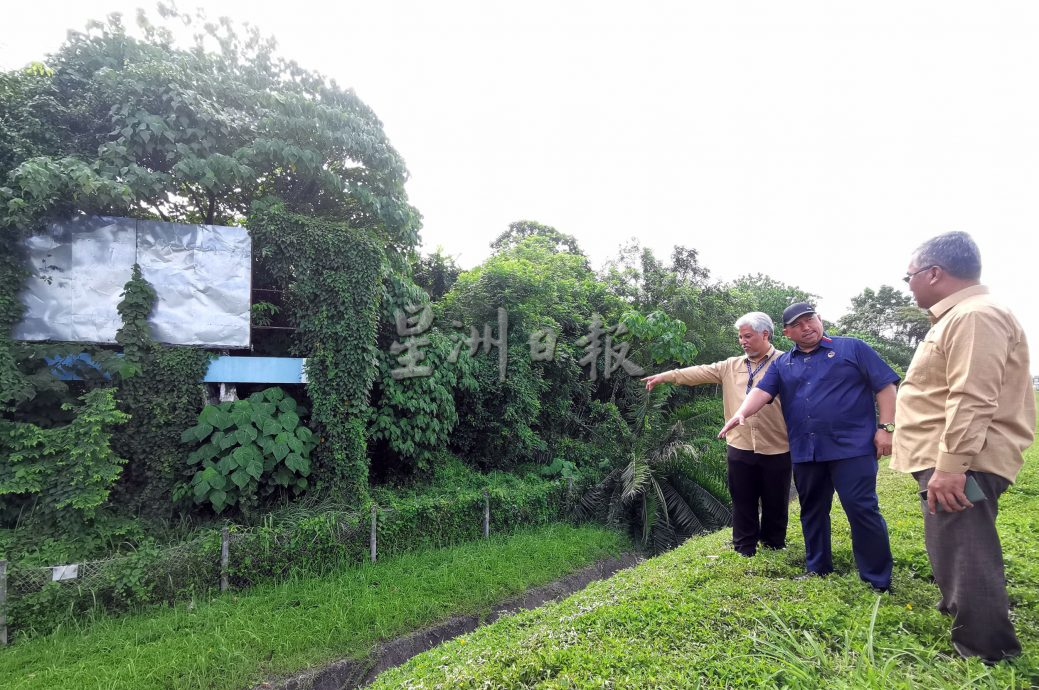 违规屡劝不听芙市厅动手了 大道非法广告牌拆!