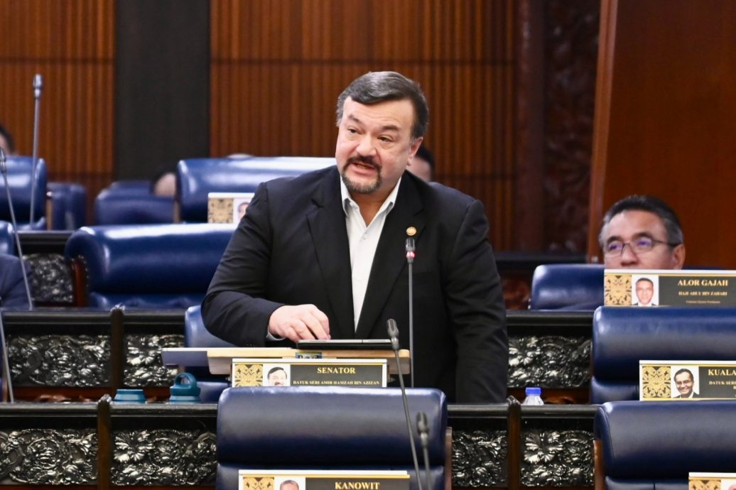 阿米尔韩查 : 年营业额低15万商贩无需开电子发票 “路边摊贩需时间适应”