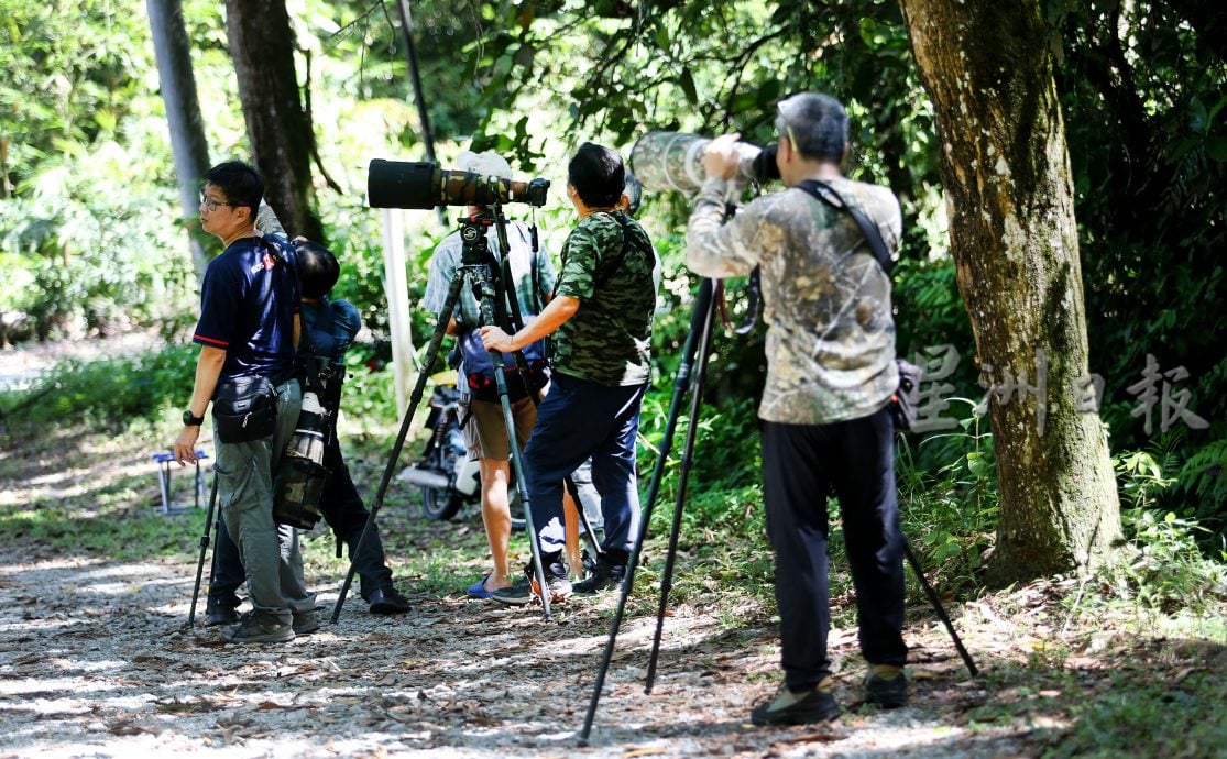 【半岛心旅行】/邂逅拉律山 赴一场洗涤心灵之旅