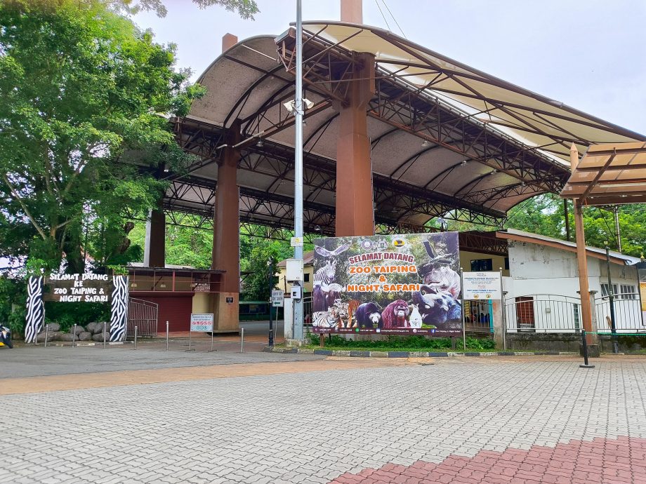 霹/太平动物园优惠计划