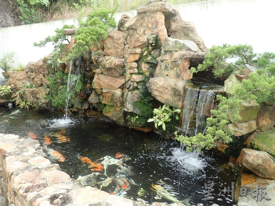 霹:10日见报/封底主文/它的诞生︱园林造景