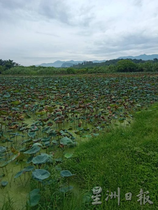 须一早排长龙登记 农民帮工延迟一小时开工